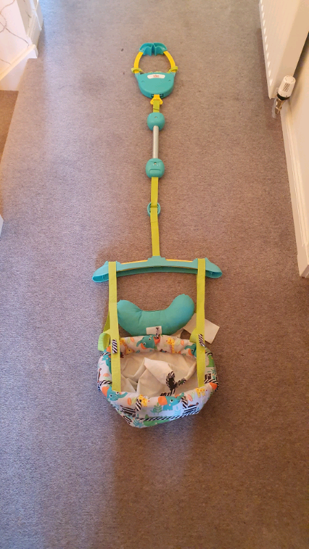 zig zag zebra vibrating bouncer